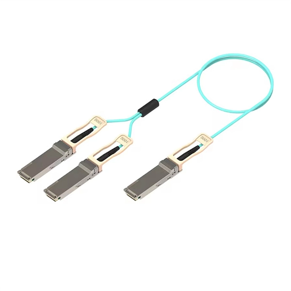 How could a fiber optic switch burn out 