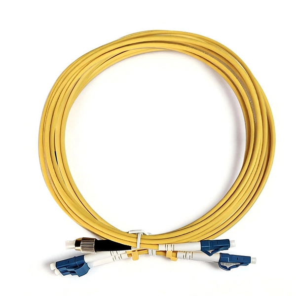Optical Transport Network Maintenance and Management