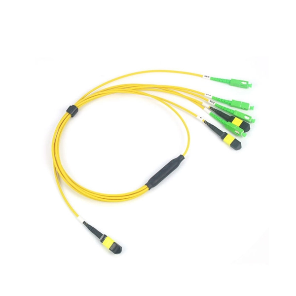 Custom-made Mexican cold joint with remote monitoring
