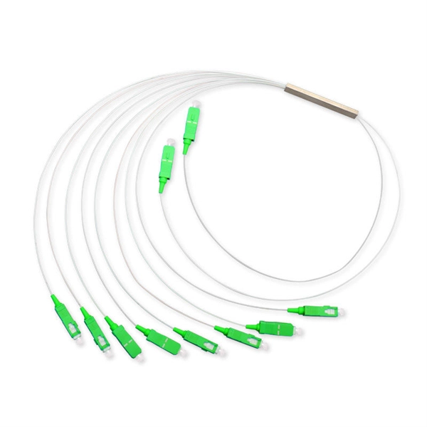 New Sample of Fiber Optic Spectrometer in Slovenia