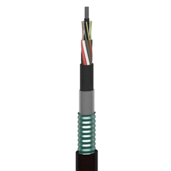 Optical cables and power lines share the same pole 