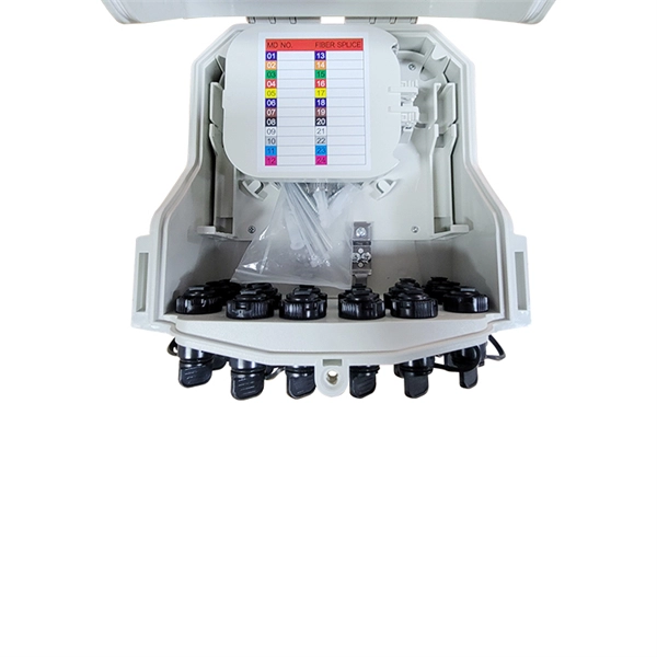 Mali Light Transmitter 100G