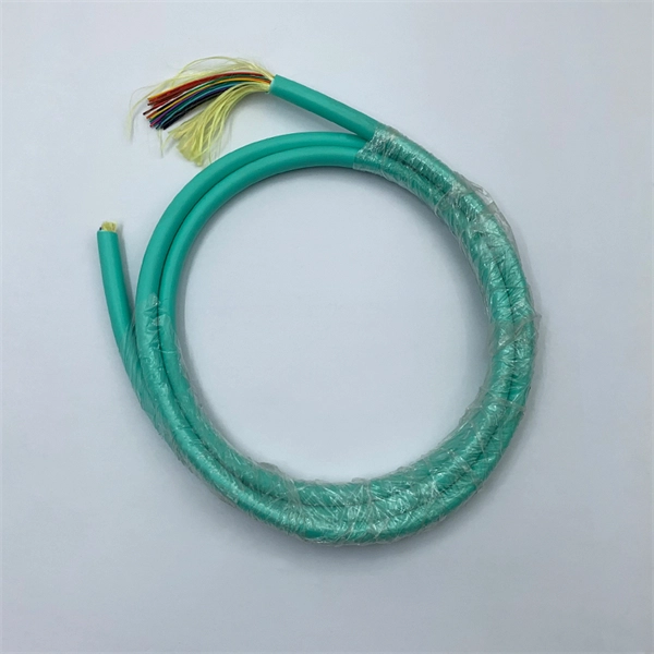Two network ports of the optical switch