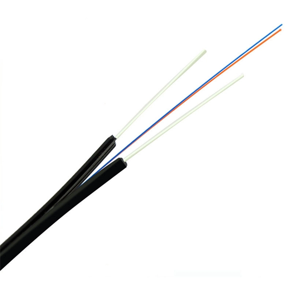 Does a 10 Gigabit single-mode optical module exist 