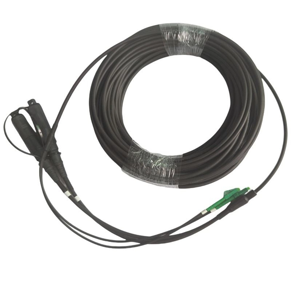 Installation Solution for a Russian 1U Standard Chassis with NEMA4X