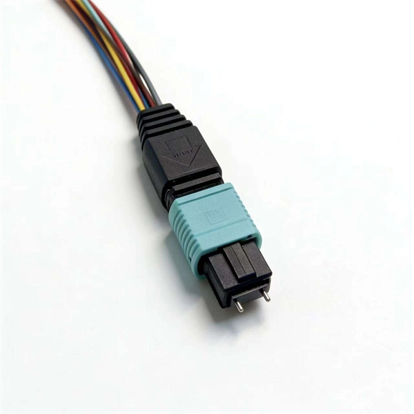North Africa Optical Module